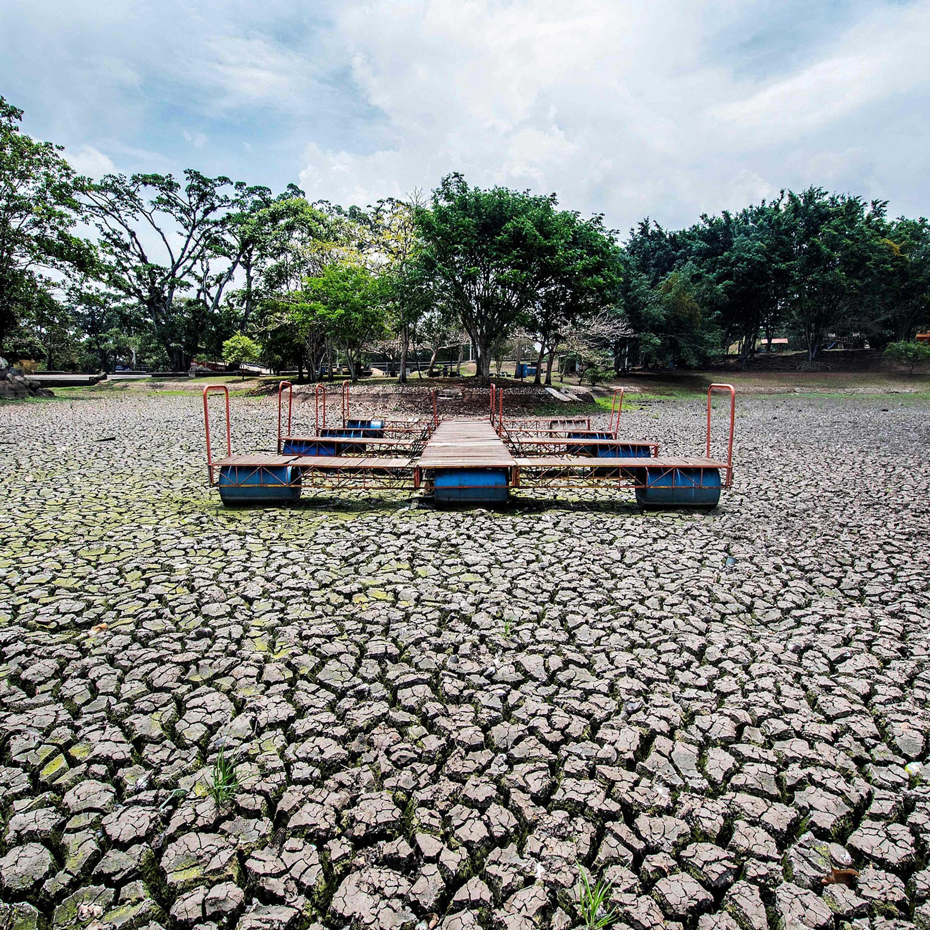 WMO forecasts El Nino to reach at least moderate strength