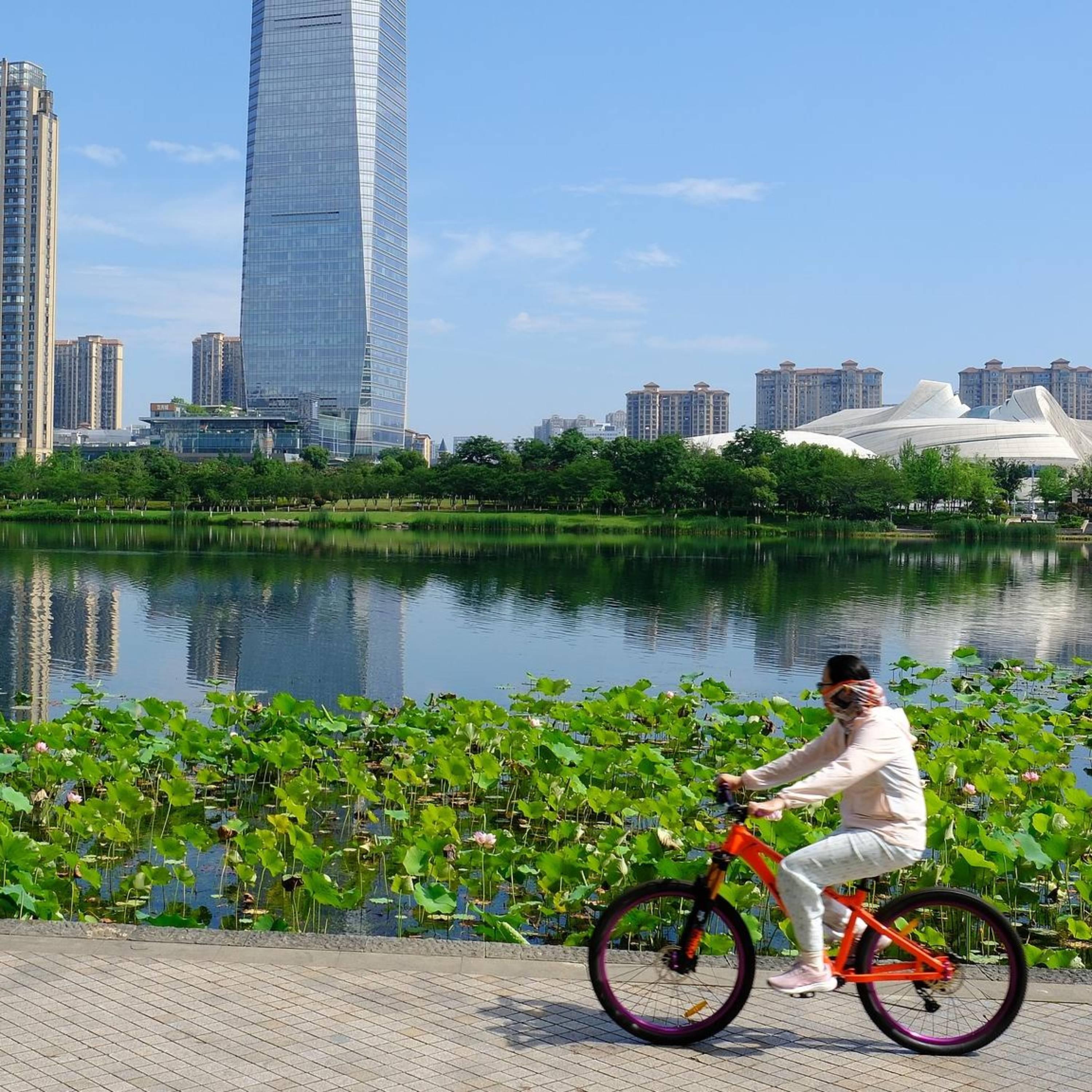 WHO official hails China's efforts to promote physical activity