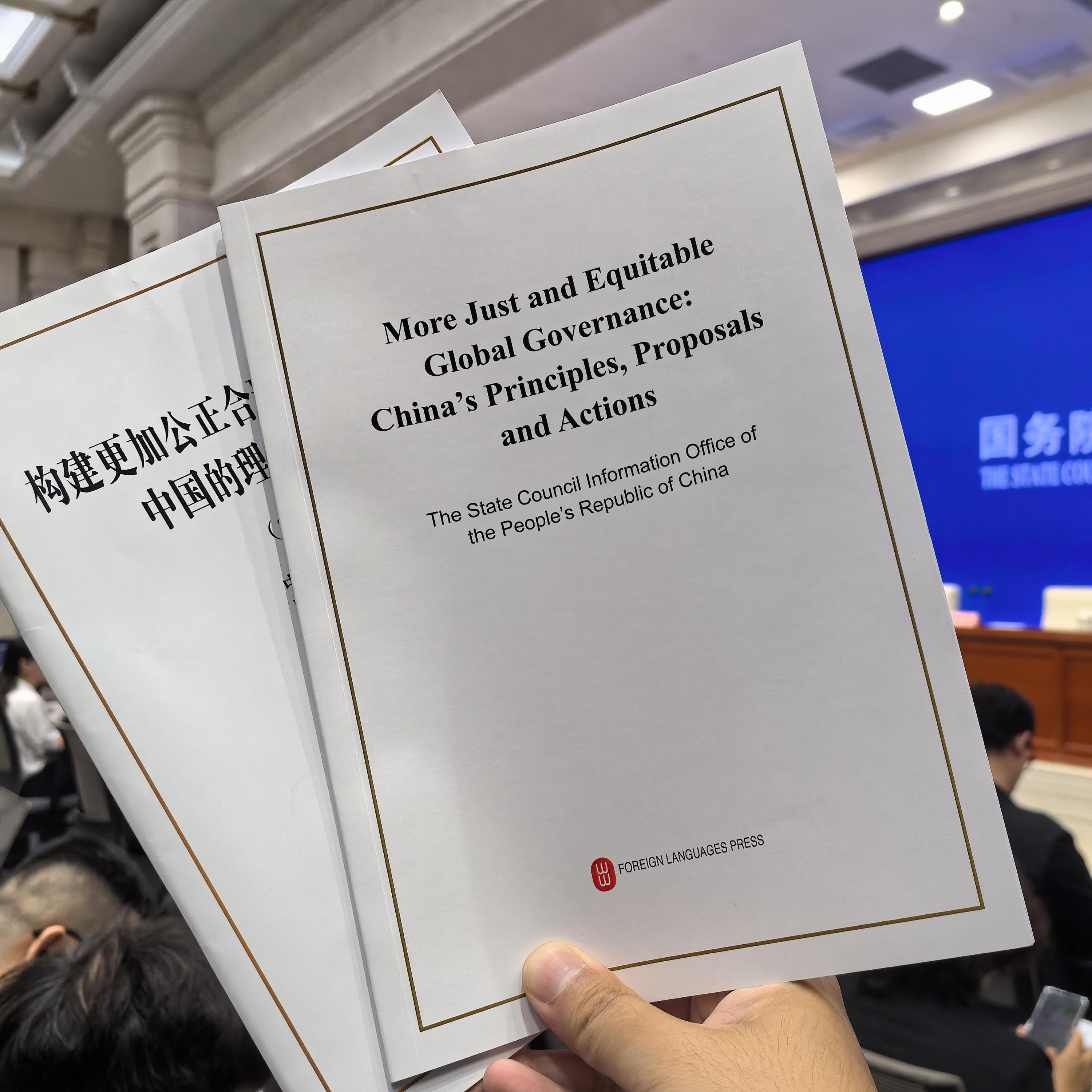 China releases white paper on global governance