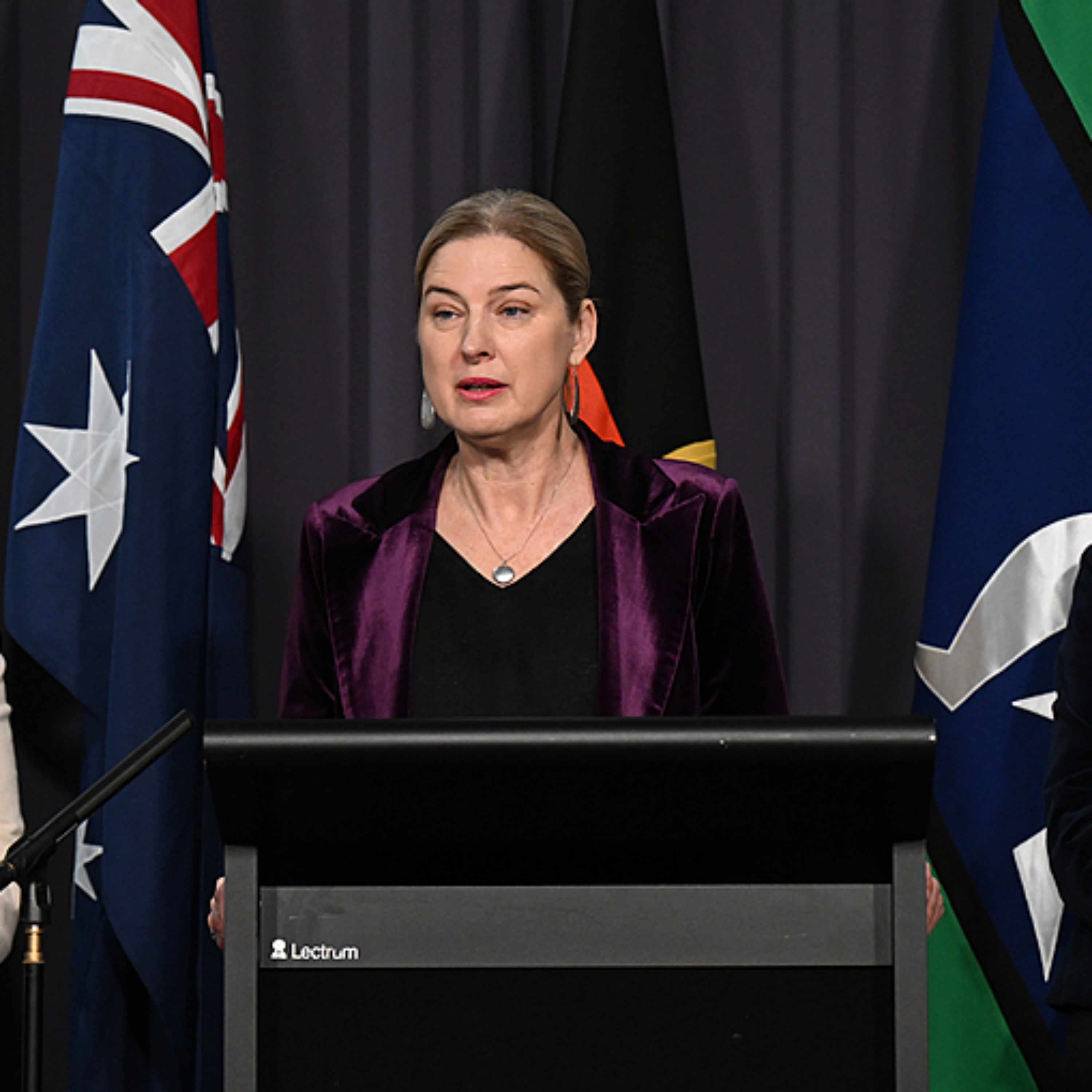 Australian gov't confirms first mainland case of H5N1 bird flu strain episode artwork