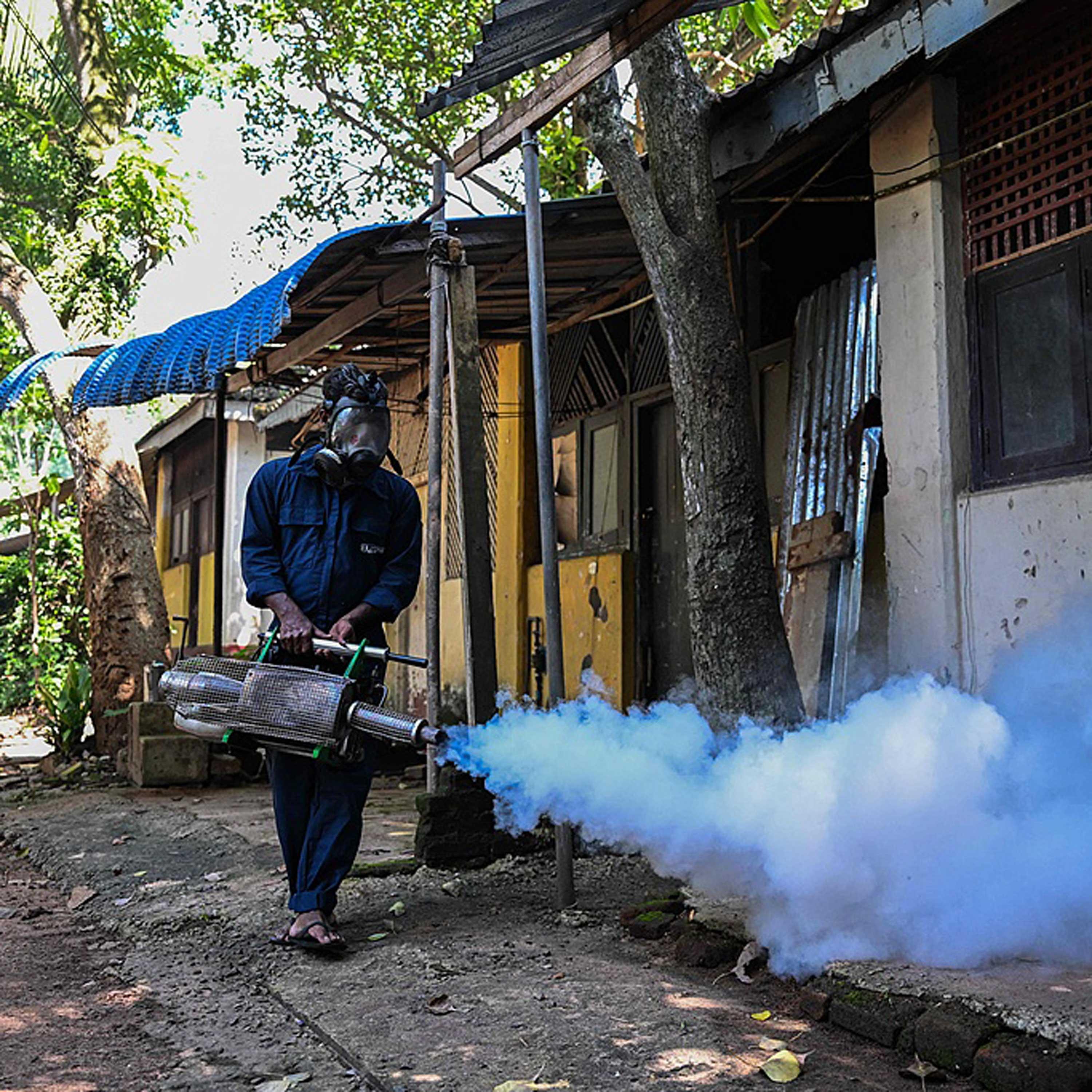 Sri Lanka dengue cases pass 52,000 episode artwork