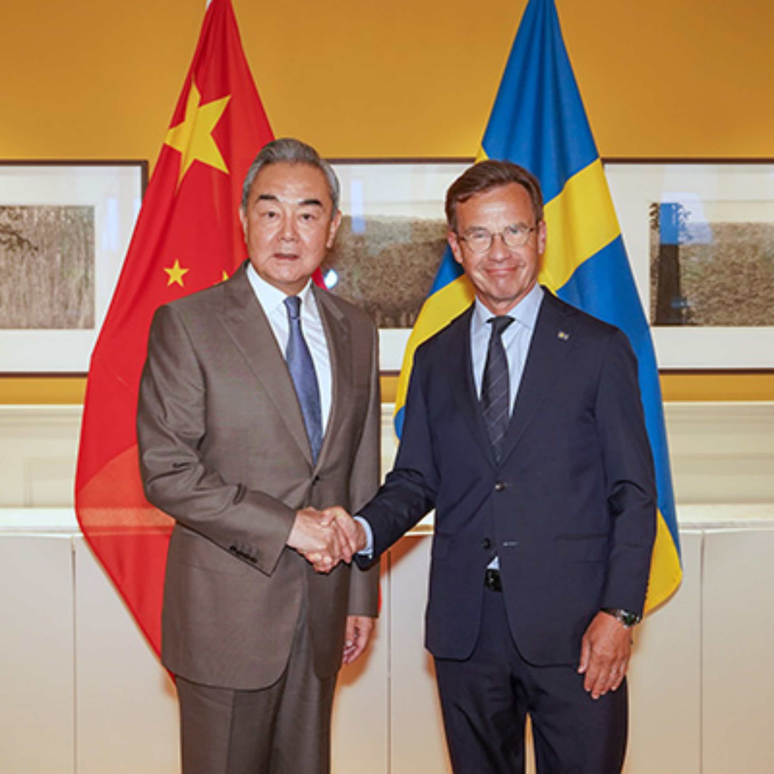 China willing to strengthen all-level exchanges with Sweden: FM episode artwork