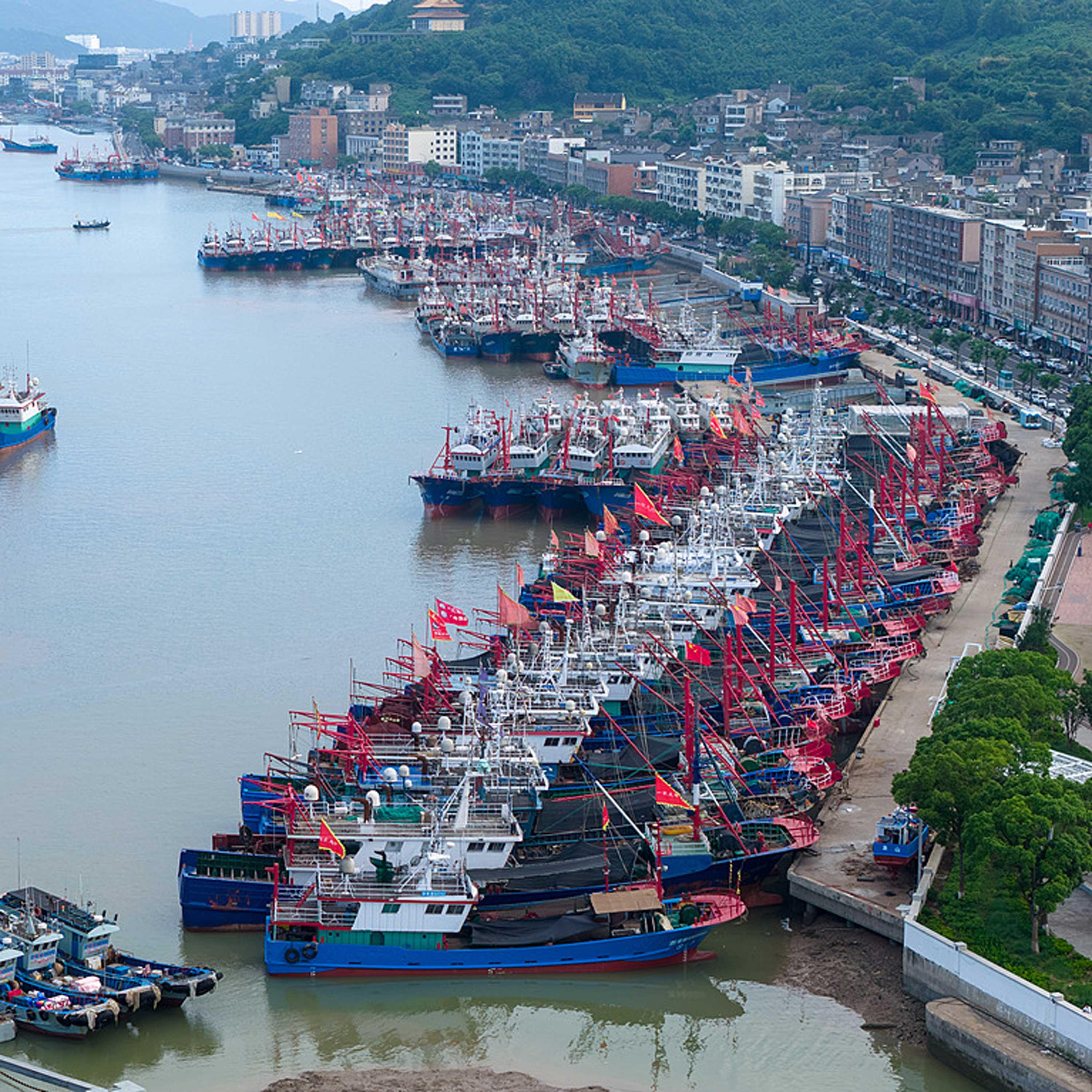 East China coastal provinces brace for Typhoon Bavi episode artwork
