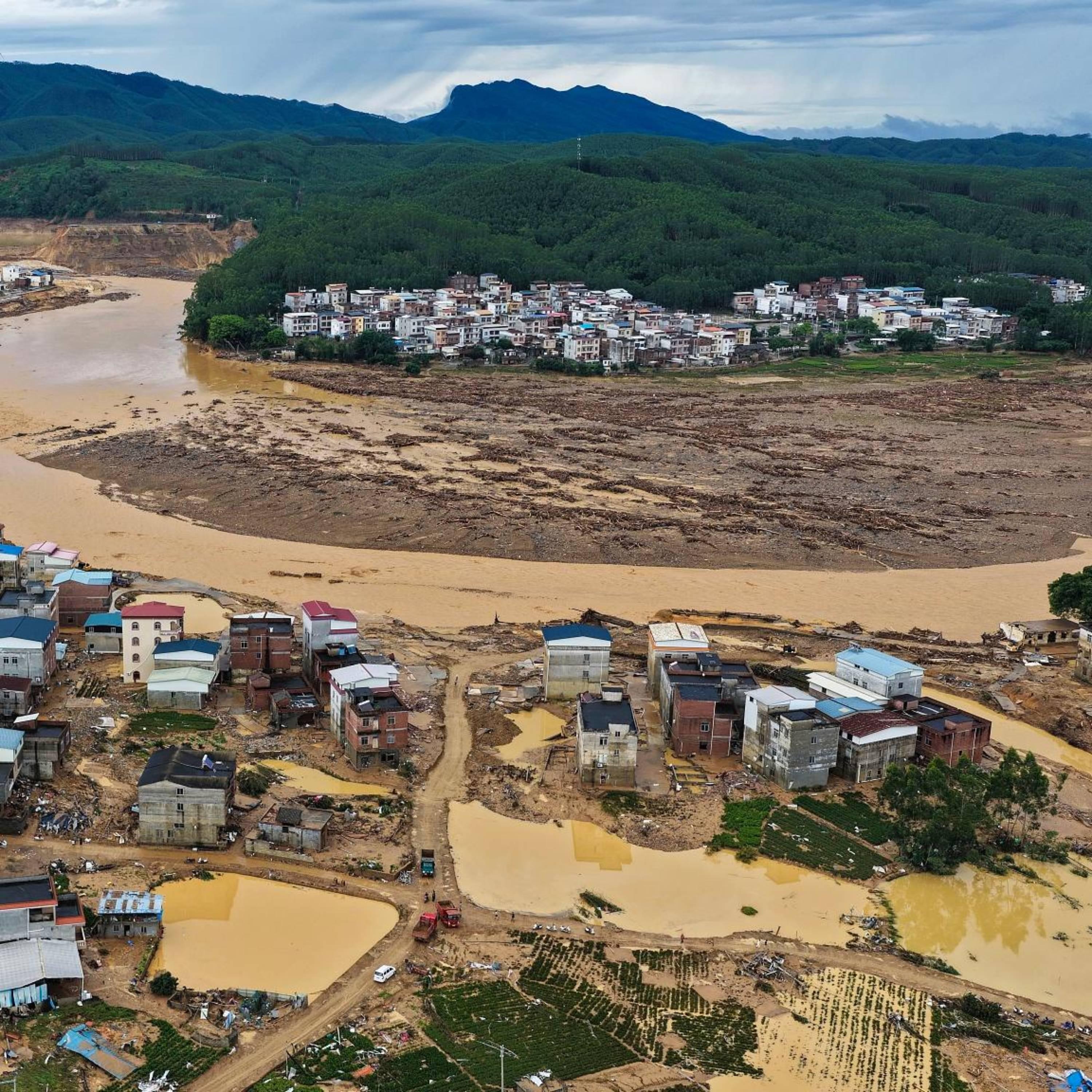 Guangxi authorities expand antivenom stockpile, fast track snakebite treatment after flooding episode artwork