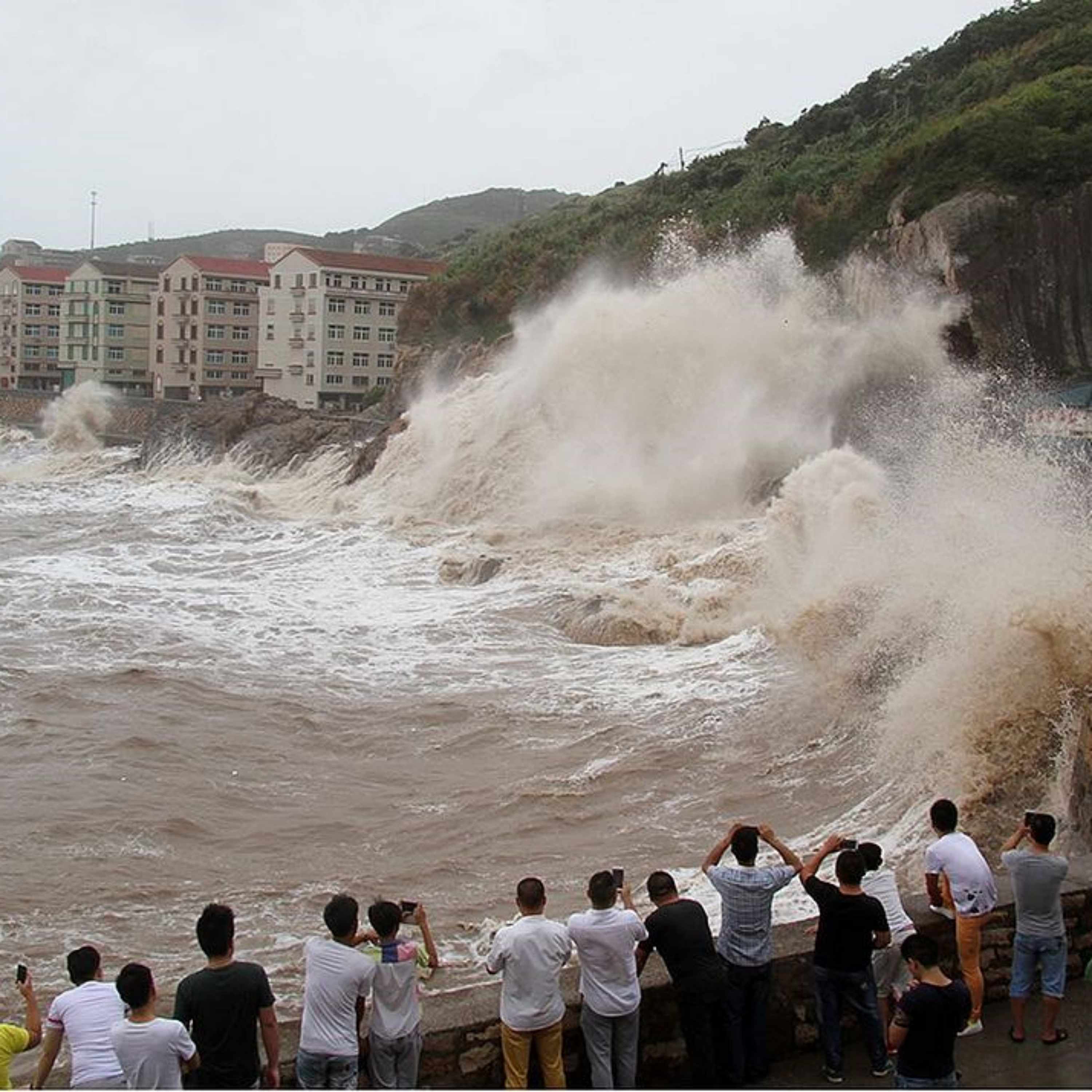 Typhoon Bavi makes landfall in east China's Zhejiang episode artwork