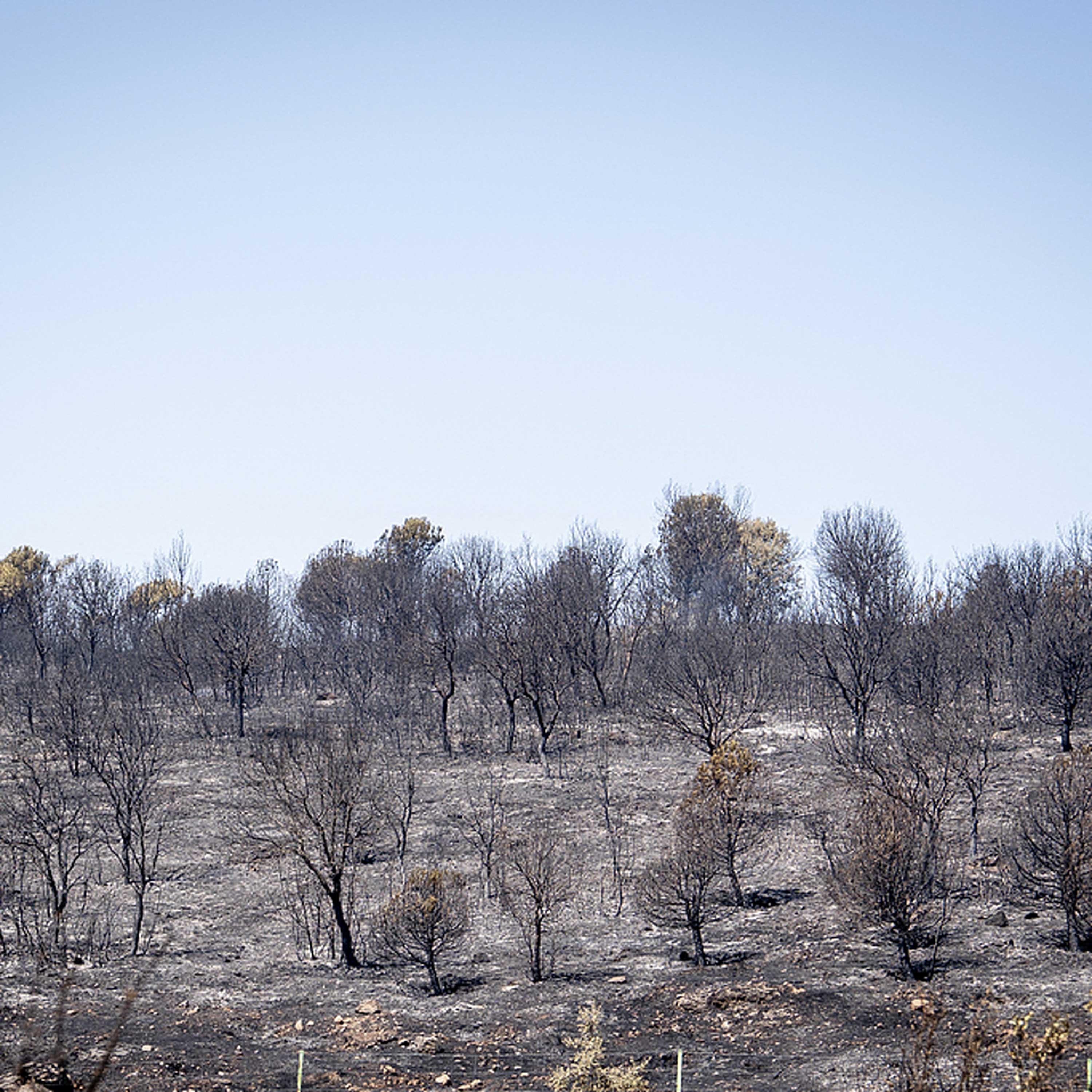 Spanish PM calls wildfires "dramatic situation"