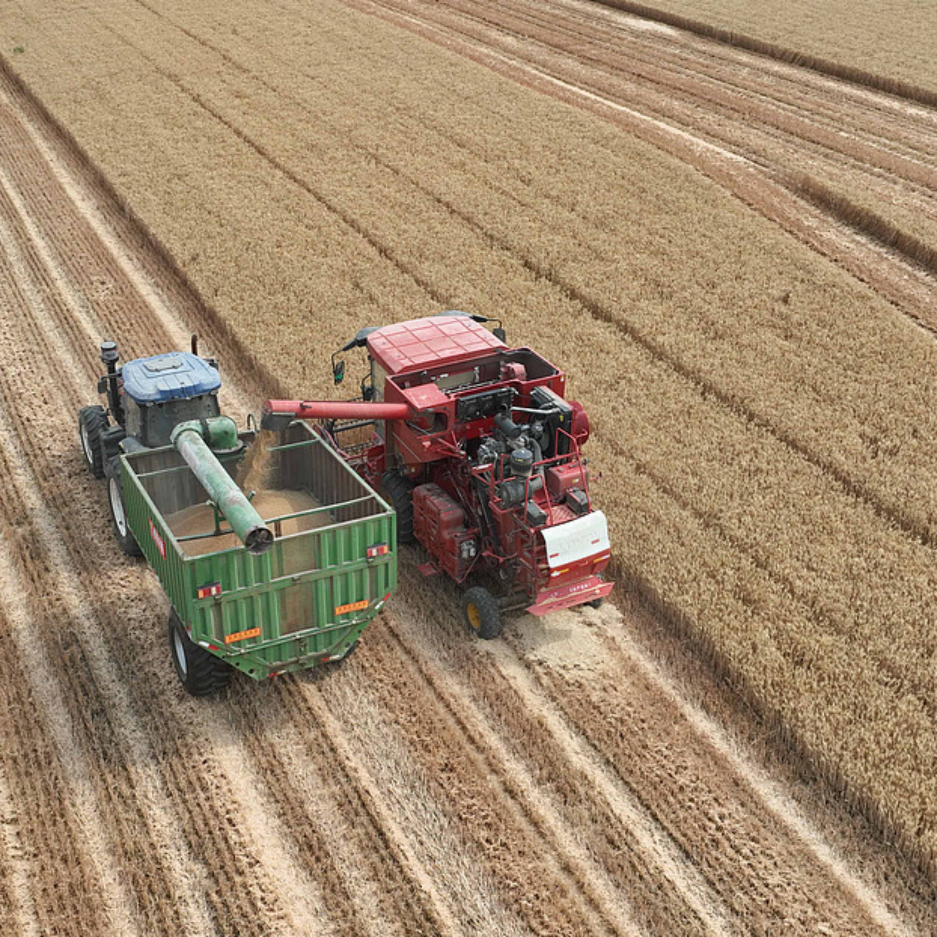 China unveils five-year plan to upgrade supply and marketing cooperatives