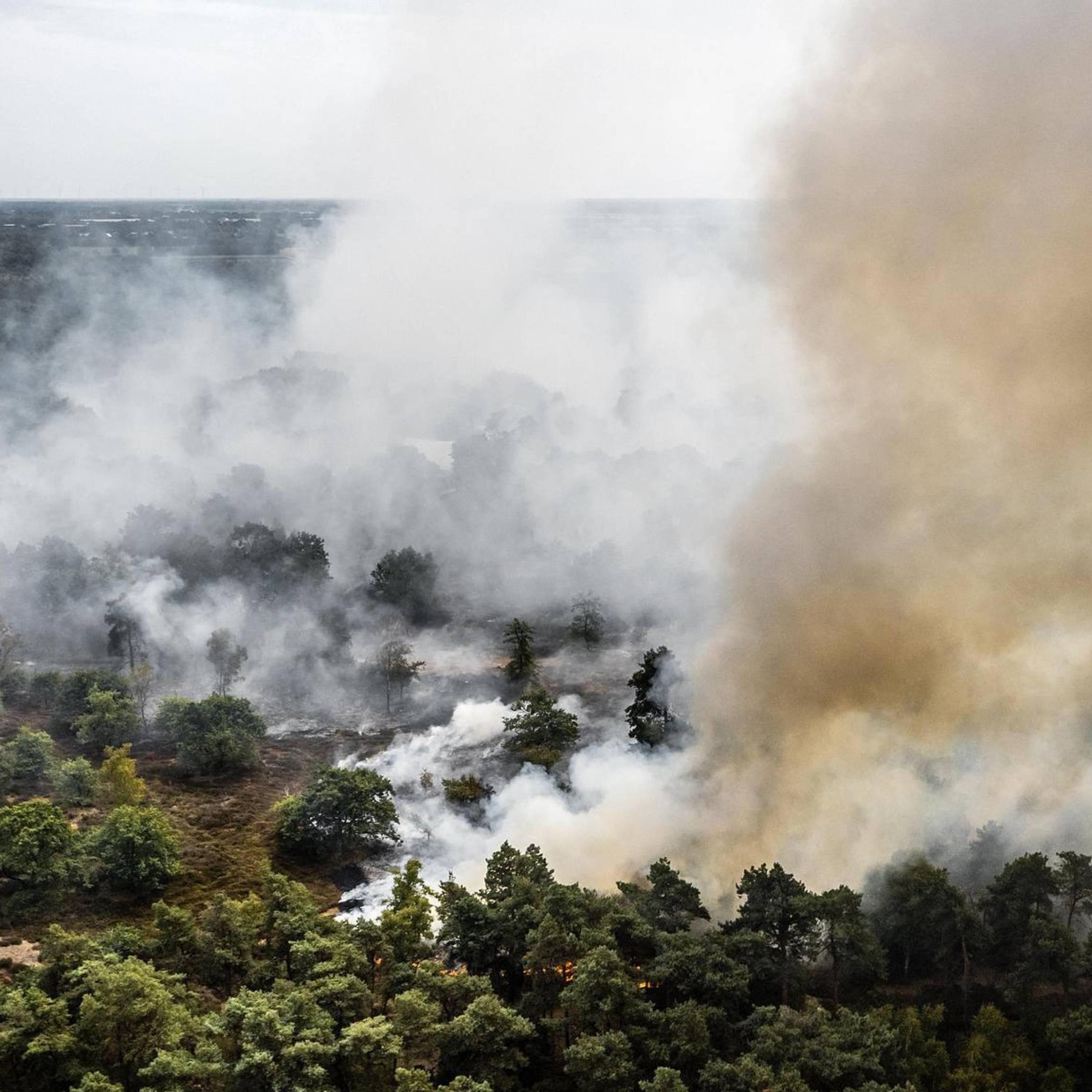 Wildfire in southern Netherlands to take hours to extinguish: authorities
