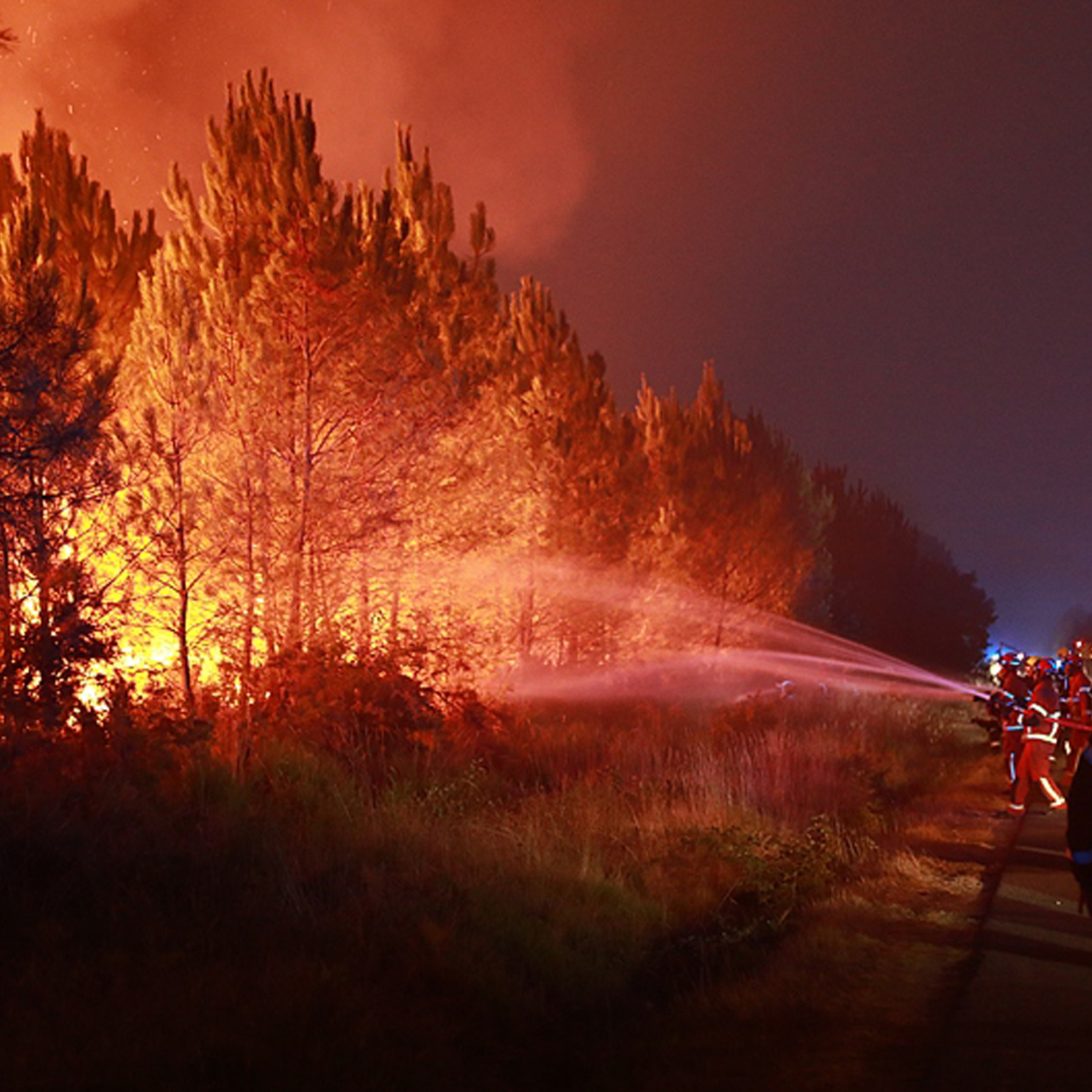 What's fueling Europe's unprecedented wildfires? episode artwork