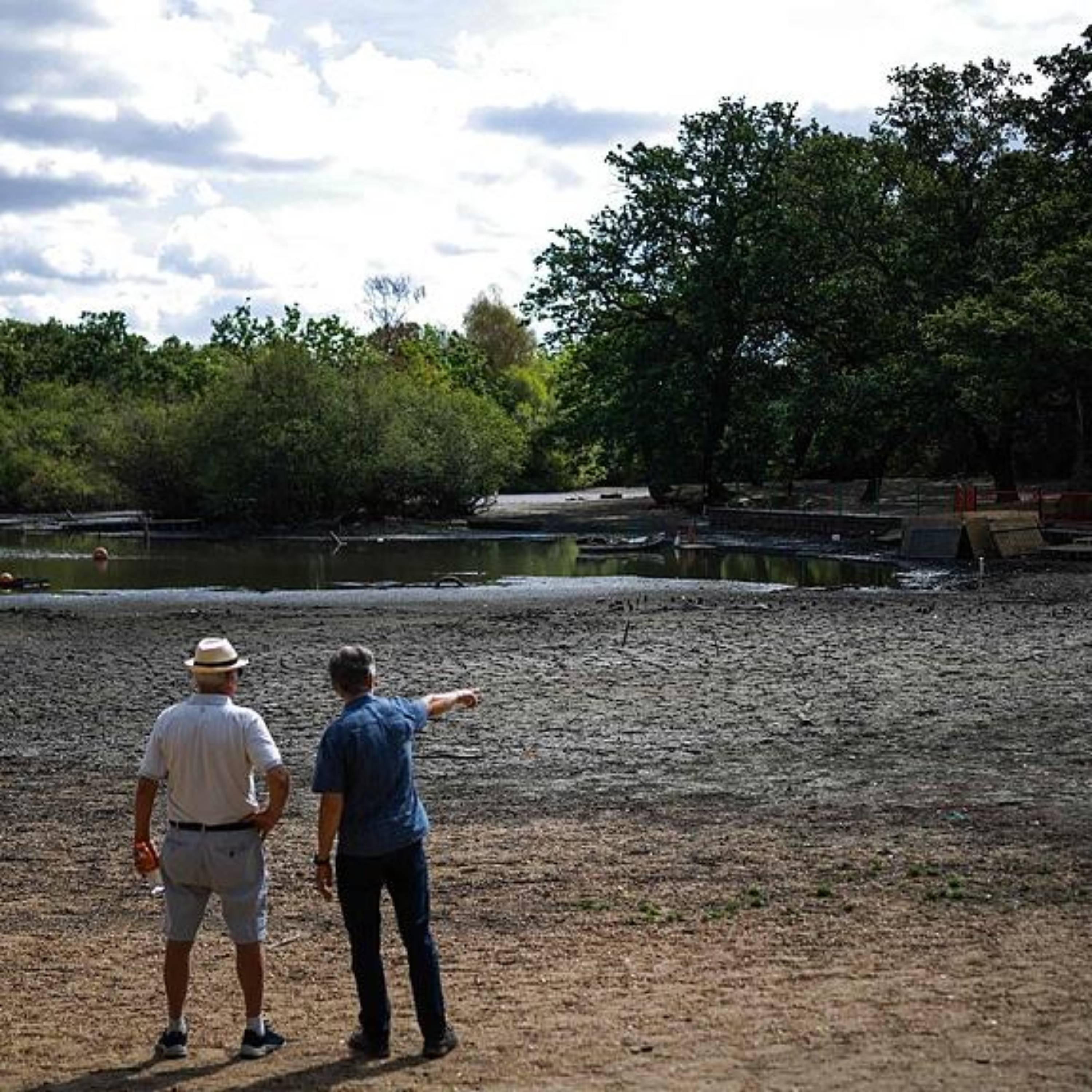 Nearly three-quarters of England in drought as another heatwave approaches episode artwork