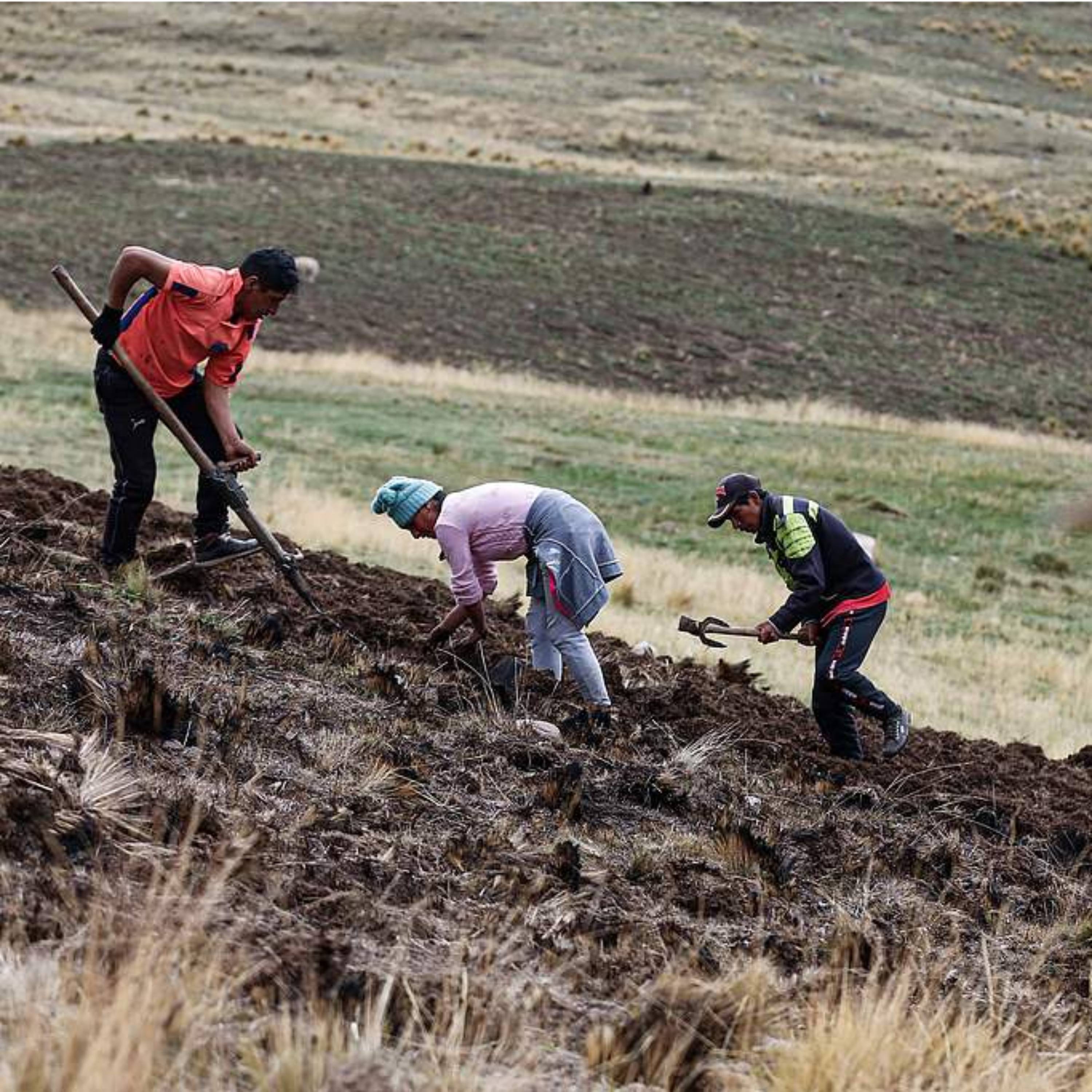 Peru declares emergency in 607 districts over water shortages episode artwork