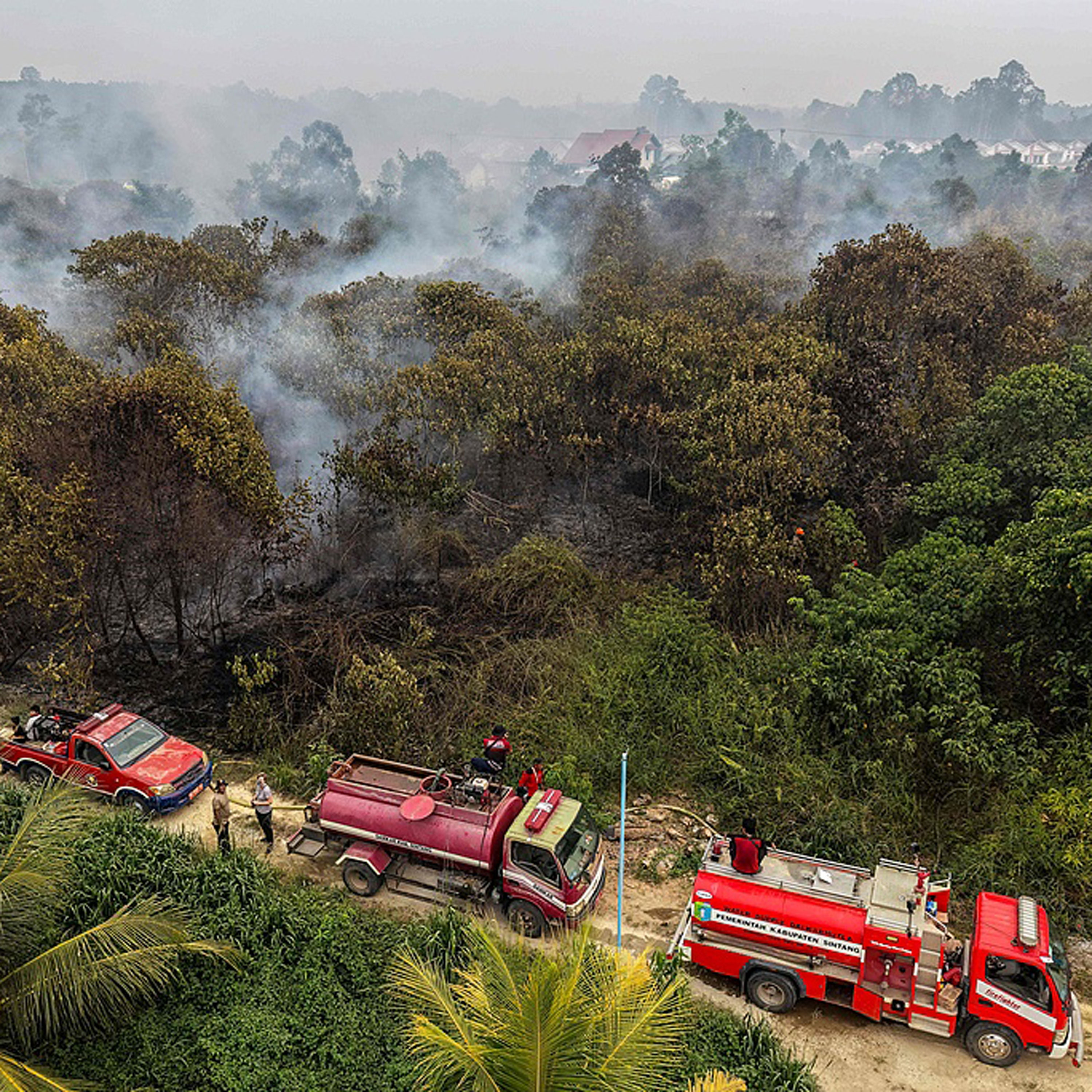 Forest fires continue to burn across Indonesia episode artwork