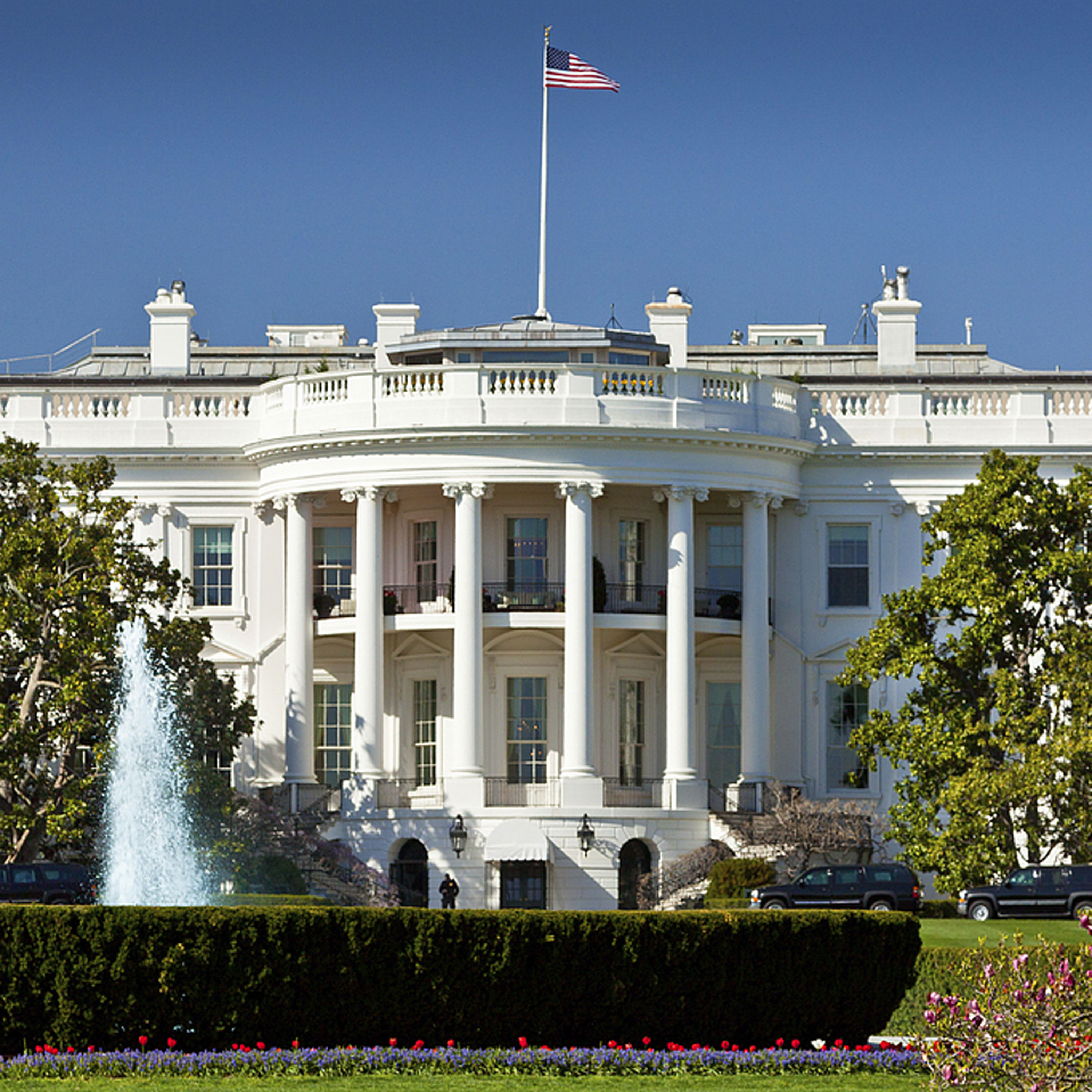 Xi, Trump have tea chat at White House episode artwork